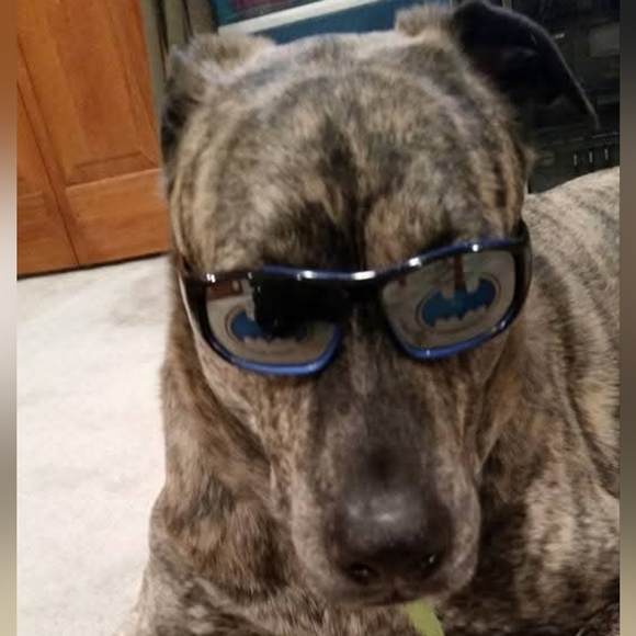 PLSreadBEFOREbuying! - Picture 15 of 16